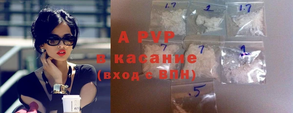 стаф Белокуриха