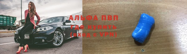 стаф Белокуриха