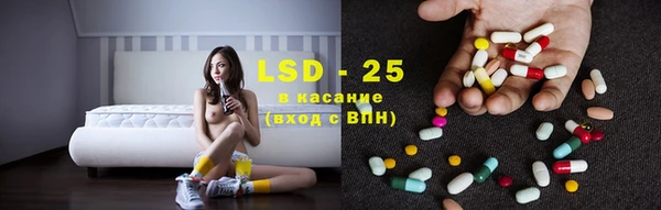 стаф Белокуриха