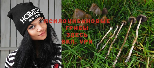 стаф Белокуриха