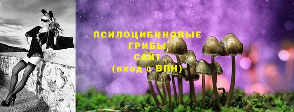 гидра Беломорск