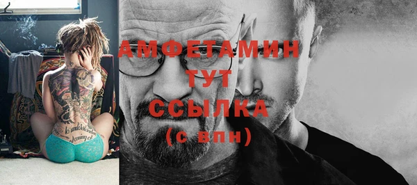 стаф Белокуриха
