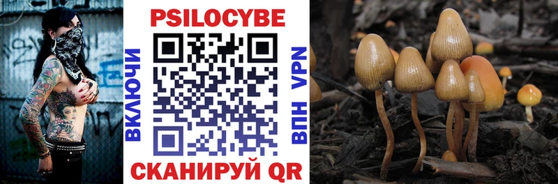 продажа наркотиков  Ершов  Псилоцибиновые грибы Psilocybine cubensis 