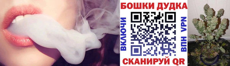 как найти закладки  Ершов  Канабис SATIVA & INDICA 